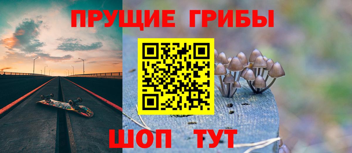 Псилоцибиновые грибы MAGIC MUSHROOMS Мичуринск